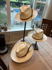 Stetson Tallahassee Shantung Straw Fedora Hat