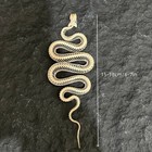 Animal Taxidermy Real Snake Skeleton Bone Skull Animal Specimens 