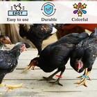 120 Pcs Adjustable Numbered Chicken Leg Bands Colorful Poultry Rings 10-30mm