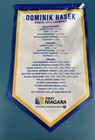1992-2001 Buffalo Sabres Domink Hasek Retirement Banner Sga First Niagara Bank