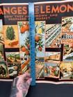 Vtg 1933 California Oranges Lemons Advertising Poster Nra