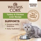 Wellness Core Natural Grain Free Wet Canned Kitten Food  Kitten Chicken   Turkey