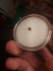 0 217 G California Gold Nugget