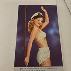Vintage Pin-up Advertising Ink Blotter Standard Casting Co  Springfield Iowa