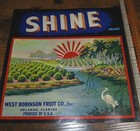Vintage  shine  Citrus Crate Label From West Robinson Fruit Co  Orlando  Fl  Nos