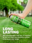 Seymour Renew Grass And Shrub  pristine   1 - 17oz  Can 