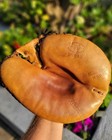 Nm 1920s Draper Maynard Hank Gowdy Catchers Mitt Dg982 Silver Foil Deadstock