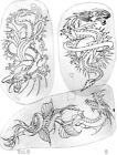 Vintage Traditional Tattoo Art Flash Acetate Books Bert Grimm Col  Todd