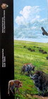 Wind Cave National Park South Dakota National Park Service Unigrid Brochure Map