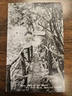 Vtg Postcard Along Path Of The Woods Big Tree Park Redwood Highway Log Bridge