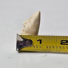 Vintage Inuit Hand Carved Antler Billiken Good Luck Native American Art