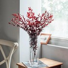 Natural Dried Preserved Willow Eucalyptus  Real Plant  For Wedding  Home Deco   