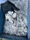 Crushed Oyster Shell For Tabby Concrete     Bulk By The Pound