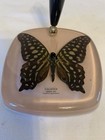 Vintage Malaysia Green Jay Butterfly Oddity Desk Top Pen Holder Souvenir Pink 