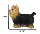 Long Haired Yorkie Statue 11 5 l Pet Pal Yorkshire Terrier Dog Figurine Decor