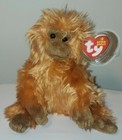 Ty Beanie Baby - Chalrlie The Monkey 8  New Mwmts Plush Stuffed Animal Toy