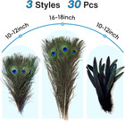 Piokio 30pcs Natural Feathers Bulk - Long Peacock Feathers  Pheasant Feathers Fo