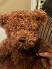 Fao Schwarz Brown Teddy Bear 16  Toys R Us 2012 Stuffed Animal Plush Toy