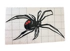 New Black Widow Spider Red Hourglass Decal Permanent Sticker Vinyl Handmade 4   