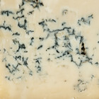 Gorgonzola Blue Cheese Dop     Italian Blue Cheese