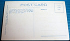 Yellowstone National Park   Vintage 10139 Postcard   A Park Deer   Unposted