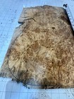 O107 1 Piece Maple Burl Guitar Top Figure Luthier 19x13 5x1 4 Birds Eye Curly