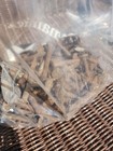 Large Lot Of Vintage And Antique Dated Railroad Nails Variety 40 s 50 s  6  Lbs