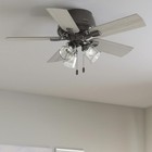 Hunter Fan 44 In Low Profile Noble Bronze Ceiling Fan With Light And Pull Chain