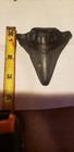 Megalodon Shark Tooth Real  East coastal Nc Find