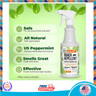 Smartmouth Original Mouthwash  24-hour Bad Breath Relief  Fresh Mint 16oz 3-pack