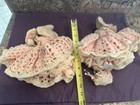 2 Vintage Dolls With Crocheted Gowns  Hats And Baskets With Flowers