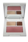Lot Of 5 Clinique All About Shadow  01 Like Mink  Powder Blush  08 Cupid  Nobox