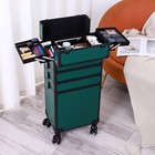4-in-1 Aluminum Rolling Makeup Artist Draw-bar Style Cosmetic Train Case