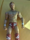 Mattel Version Wwe Wrestling Figure Brian Daniel 2011
