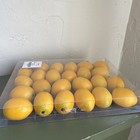 24 Artificial Realistic Minilemons Fake Fruit Citrus Kitchen Decor Staging Props