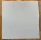 Greta Van Fleet- 2017 From The Fires 12 x12  Album Flat Promo Poster