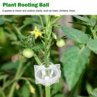 5-50pcs Plant Rooting Device Grow Grafting Box High Pressure Propagation Balls