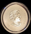 2011 -canadian Maple Leaf Forever 1 2 Oz  silver - 9999-reverse Proof -  9069