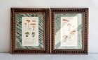 Pair Of Antique Framed Mushroom Colored Plates From French Botanical Book 1700s