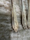 Vintage Rogers   Bros Reinforced Plate Silverplate Moss Rose 17 Pieces
