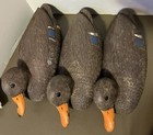 Vintage Duck Decoys Lot Of 10 Mallard Drakes  Hens  Blue Bills And A Pintail