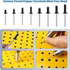 600pcs Black Pop Rivets  8 Sizes Of Aluminum Blind Rivets Assortment Kit   1 8  X 