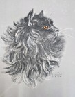13 1941 Gladys Emerson Cook Antique Cat Prints