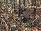 Titan 3d Leafy Suit In Real Tree Timber