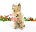 Rare Antique Steiff Pinscher Dog Button Pre War Mohair Vintage Terrier 1930s
