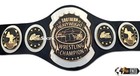Southern Heavyweight Wrestling Championship Title 4mm Zinc Replica Adult Size