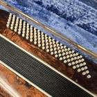 Vintage Brindisi Accordion With Original Case