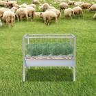 2-in-1 Hay Livestock Feeder Goat Feeder Sheeps Horses Feeding Pan 200l 52 83gal 