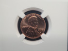 2019 W Lincoln Shield Cent Penny 1c Ngc Ms69 Pl   Early Releases Proof-like