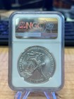 2022-w Burnished American Silver Eagle Coin First Releases Ngc Ms70  reb003